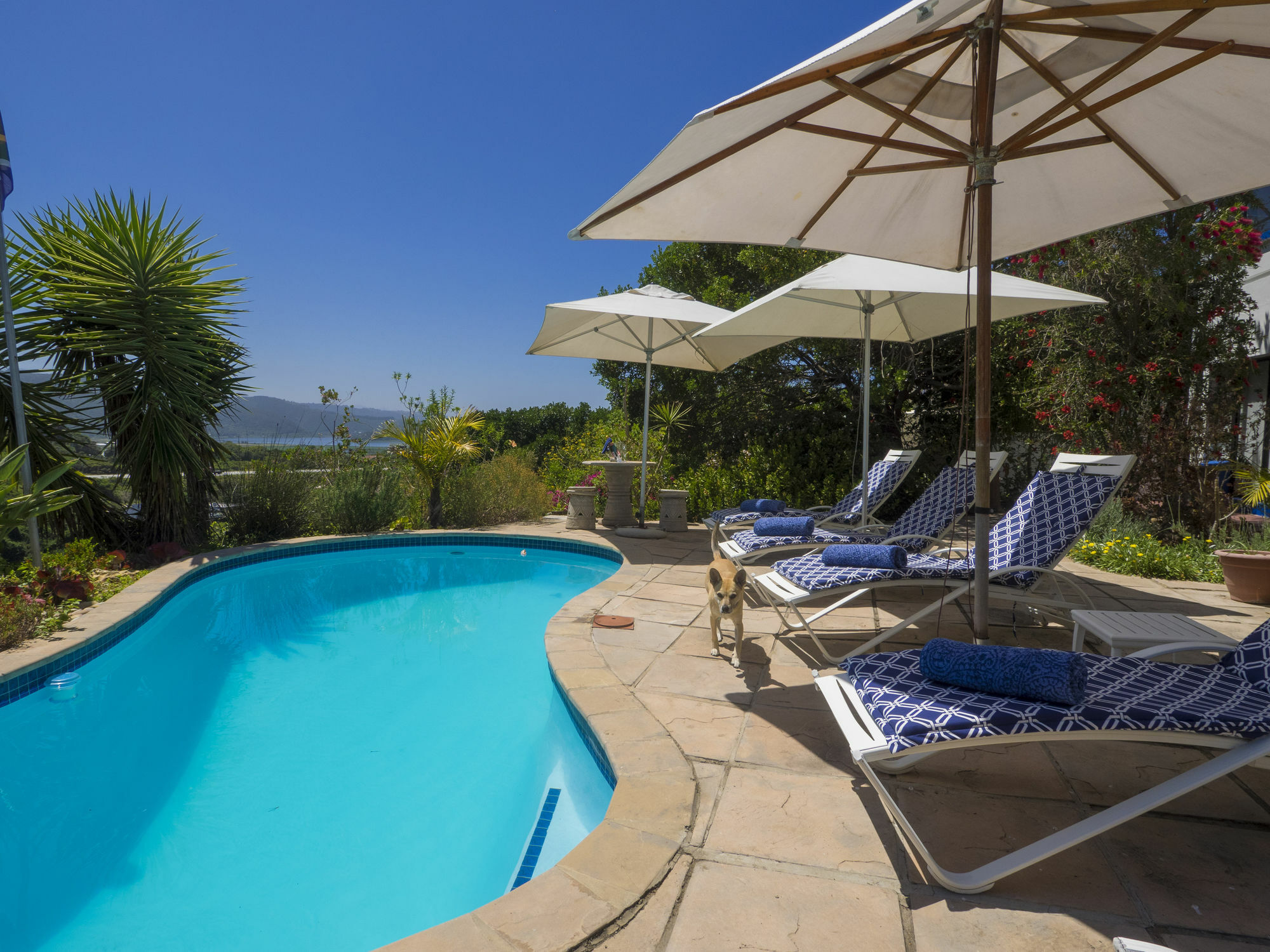 Shining Waters Guest House Wilderness Extérieur photo